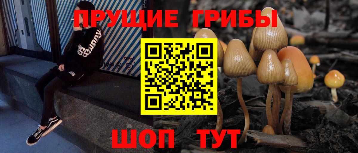 Кинешма  даркнет сайт  Вход с VPN  Галлюциногенные грибы Magic Shrooms  Галлюциногенные грибы Cubensis 